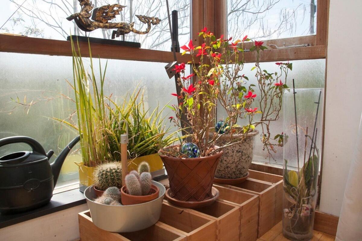 ※ Relaxing Home- Parking & Gorgeous Gardens 巴斯 外观 照片